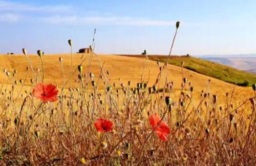 La Casetta - Foto 23