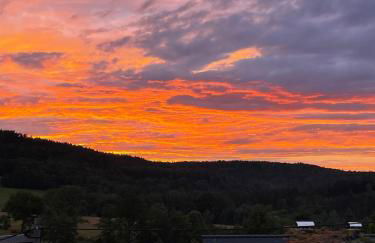 Ferienwohnung Bernhardsteinblick - Photo 20