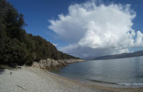 Apartments Plavčić - Foto 20