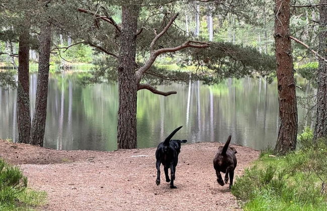 Highland Chalet Retreat in Boat of Garten - Foto 19