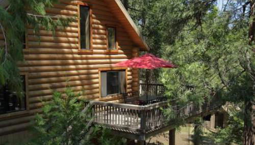 Eagles Nest - Natural Log Cabin with Guest House - Foto 5, Other