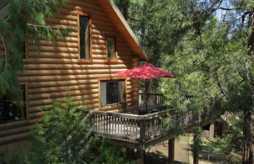 Eagles Nest - Natural Log Cabin with Guest House - Foto 5