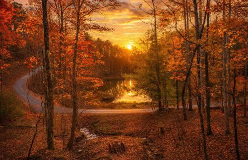 Alpine Joy-Hot Tub, Pond Access ,Cozy Cabin Retreat in the Smokies - Foto 48