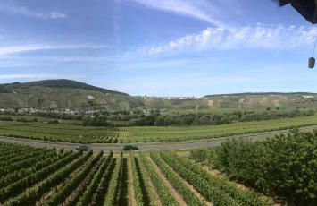 Weingut & Gästehaus Andreas Erz - Foto 12