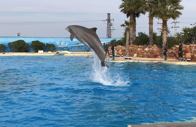 Veras Apartment - Foto 33