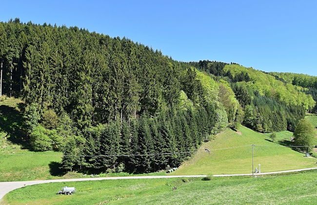 Black Forest Farmhouse in Charming Location - Foto 24