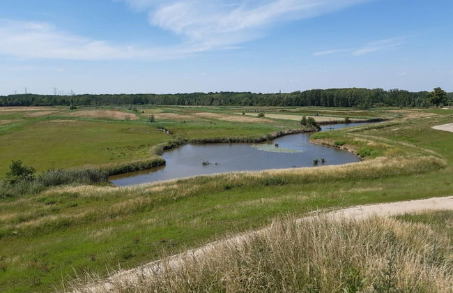 Holiday Home in Bazel for 6 Person - Photo 31