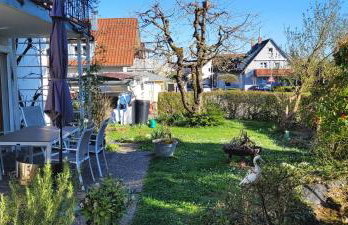 Seeschwalbe - Foto 1