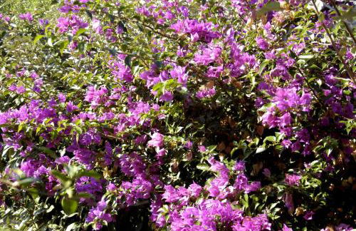 Agriturismo Campesi casale tra le vigne - Photo 36