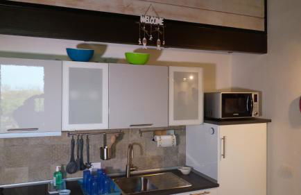 I Pesci nel golfo di Baratti - Foto 21