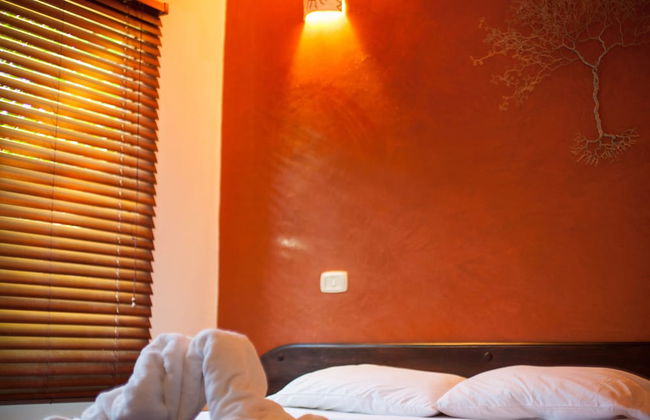 Apartamentos Massai - Foto 10