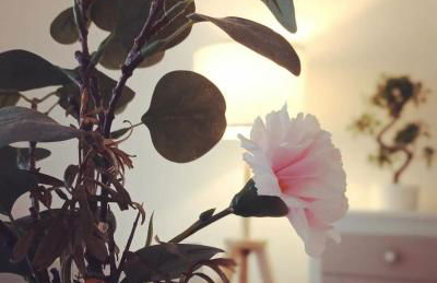 Une parenthèse à dives sur mer - Foto 4