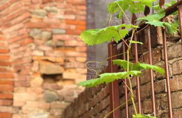 Casa Clementi - Foto 16