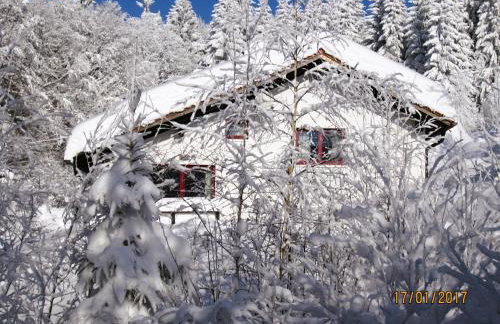 Berghütte Waldhäuser - Photo 30