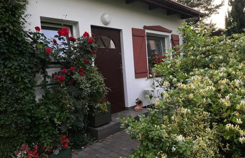 Domek przy lesie Mazury - noclegi całoroczne - Foto 4