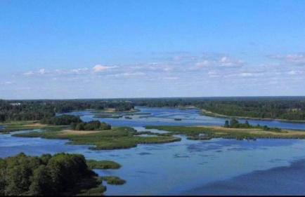 Sunny House - Narew, Łacha - Foto 3