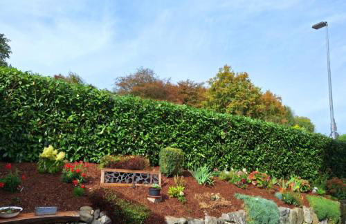 Bodenseeperle - Foto 6