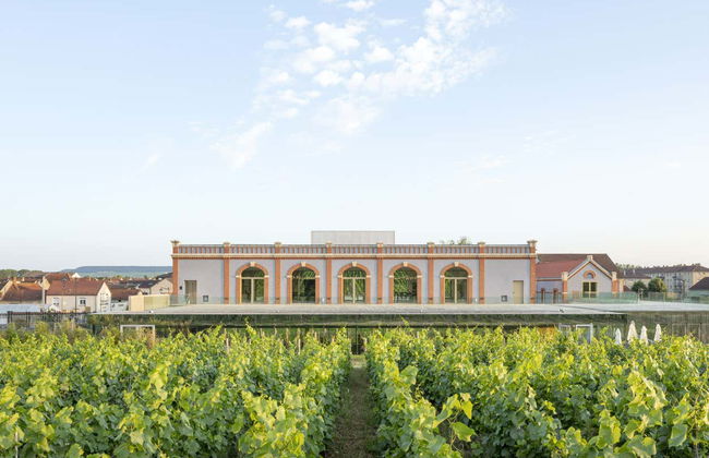 Entrada al museo enológico Pressoria + Cata de champán - Foto 11