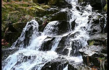 Appartamento La Foresta Abetone - Foto 45