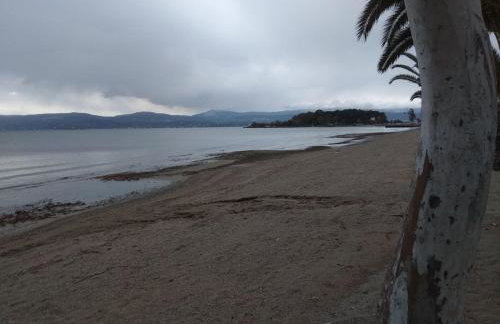 House on the beach - Photo 11