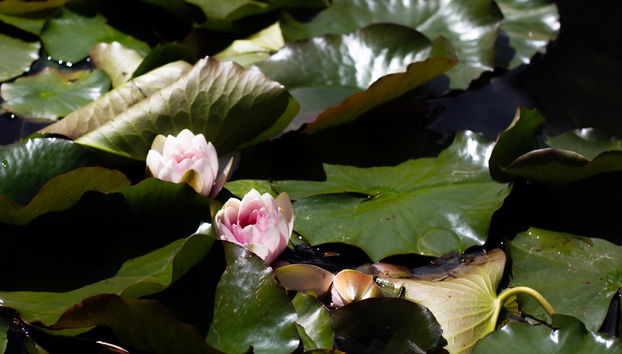 Chalet Giasenei - Foto 3