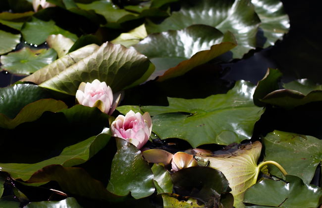 Chalet Giasenei - Foto 3