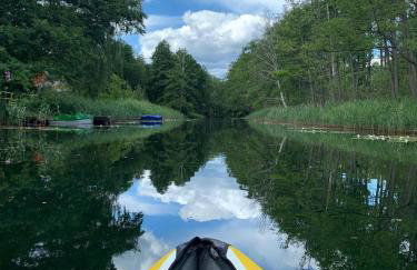 Domek Franianiesulice - Foto 64