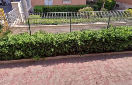 La marina di ostia - Photo 20