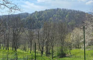 Alta Valle Intelvi LA MARINELLA - Foto 26