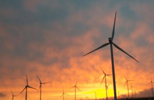 Fewo Pippert - Photo 22