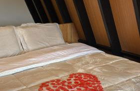 Terra Alta Chalé - Photo 8