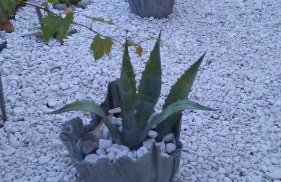 Eco Secluded apartments Zabodarski - Foto 20