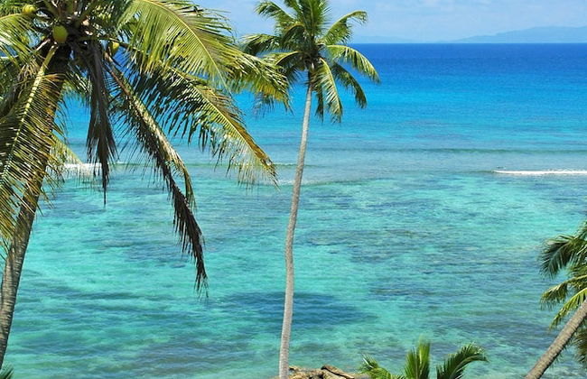 Taveuni Palms - Photo 24