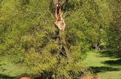 Zum Elleblick - Foto 35