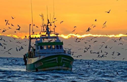 Studio Cabine avec terrasse ensoleillée, piscines, parking privé, à 500m de la plage - FR-1-307-133 - Foto 19