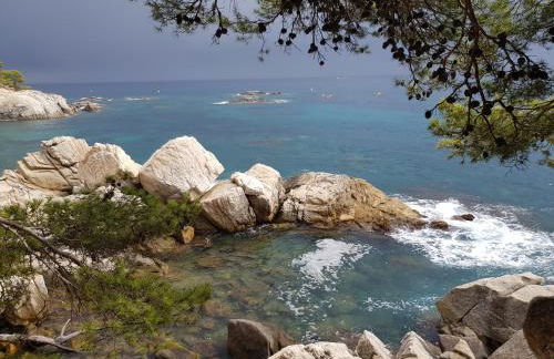 villa aranda - Photo 79