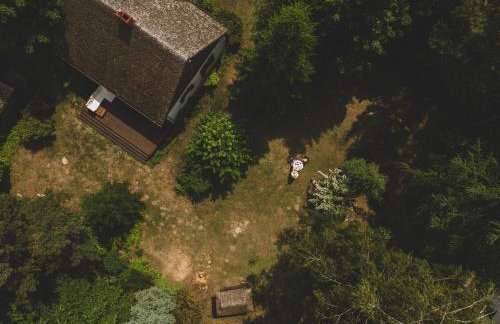 AŻ POD LAS - Foto 32