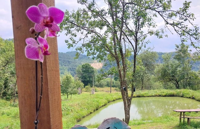 Rustic Wild Retreat IN Romania - Foto 65