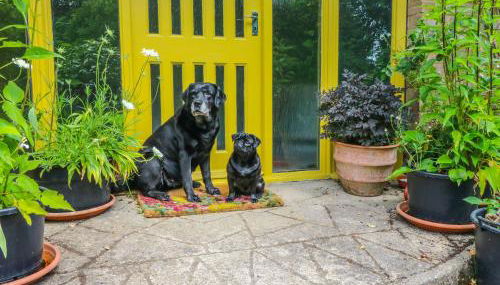 Little Yaffle - Foto 3