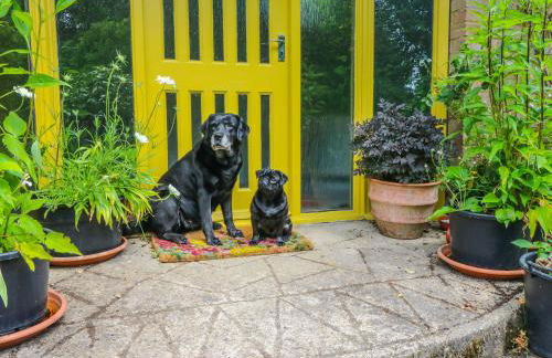 Little Yaffle - Foto 3