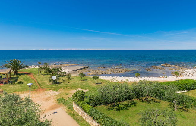 Penthouse Mira - Photo 12