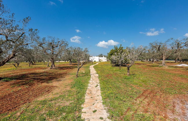 2769 Uliveto Valeria - Trullo Fico by Perle di Puglia - Foto 29