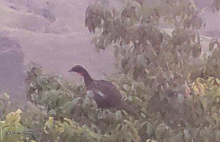 Fazenda Vista Soberba - Foto 55