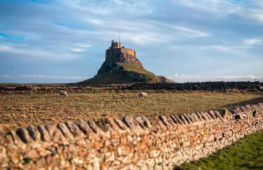 Carinya Cottage - Detached cosy cottage near Alnwick and Warkworth - Foto 25