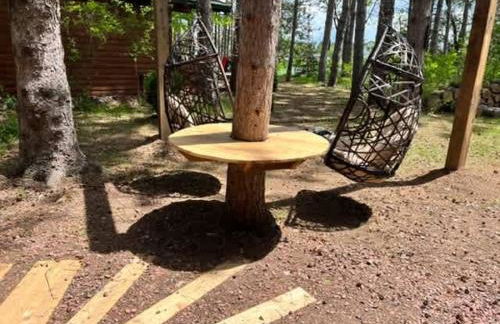 The Timberjack - Foto 24