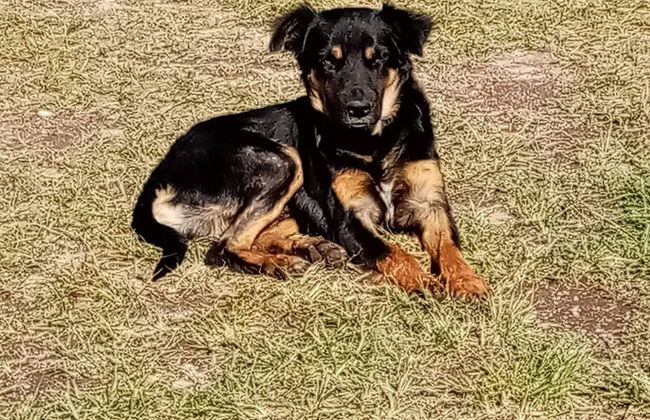Room-parador Arewá La Energía Que Impuls - Foto 16