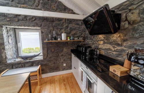 Bioma Adega - Escala Gourmet - Photo 6