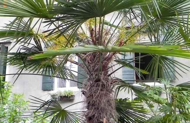 Palazzo Soderini - Photo 40