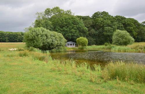1 Bed in West Knoyle 52108 - Photo 11