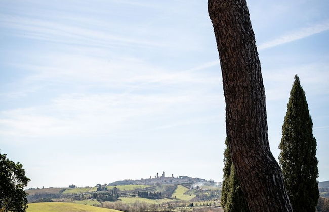 Mormoraia - Photo 42